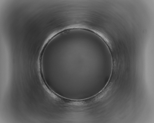 X0000111200998200907081238