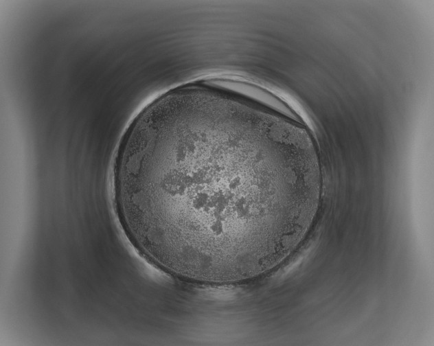 X0000111200999200907081238