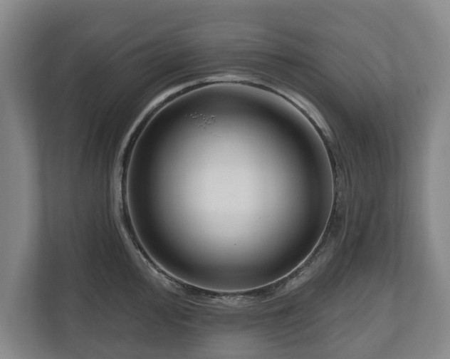 X0000111201000200907081238