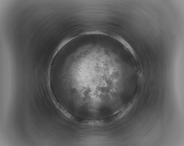 X0000111201002200907081238