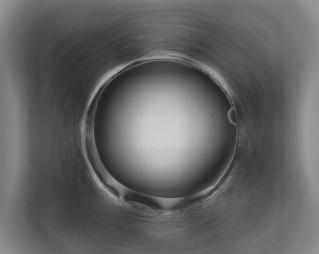 X0000111201003200907081238