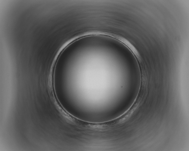 X0000111201004200907081238