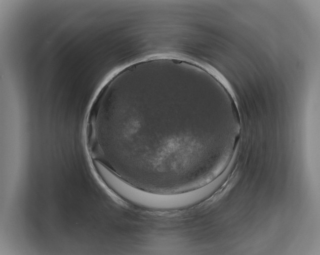 X0000111201005200907081238