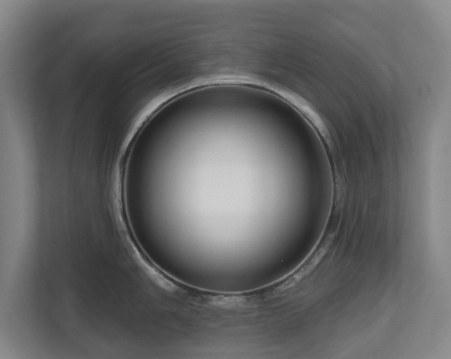 X0000111201006200907081238