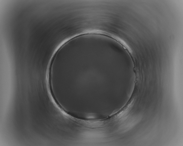 X0000111201007200907081238