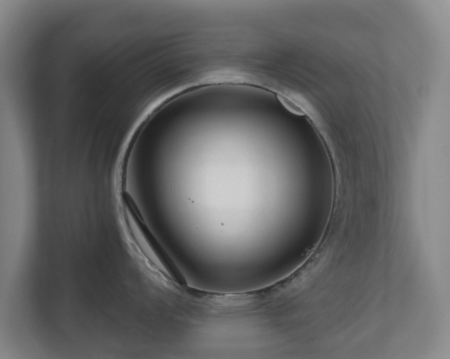 X0000111201008200907081238