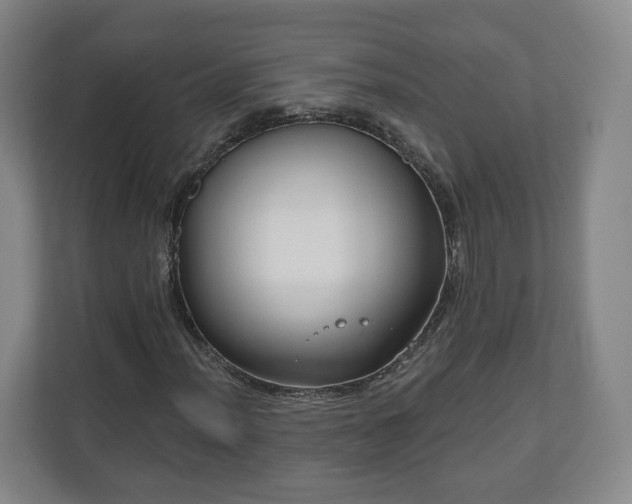 X0000111201012200907081237