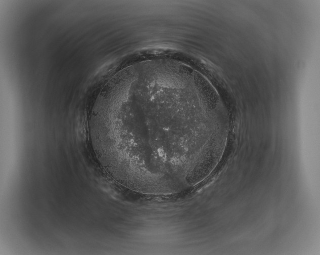 X0000111201014200907081237