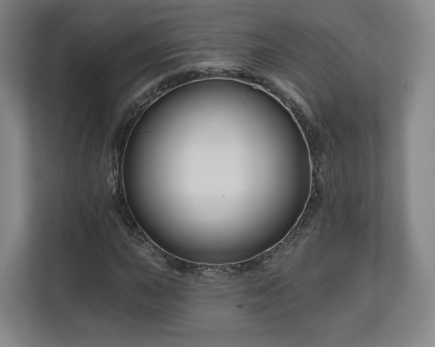 X0000111201015200907081237