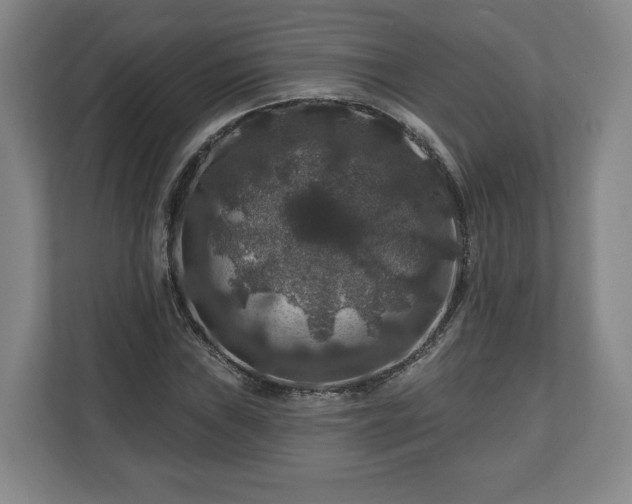 X0000111201019200907081237