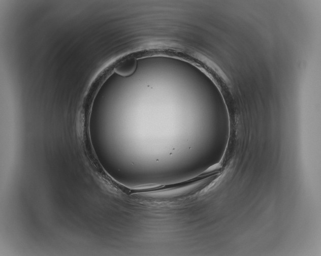 X0000111201021200907081237