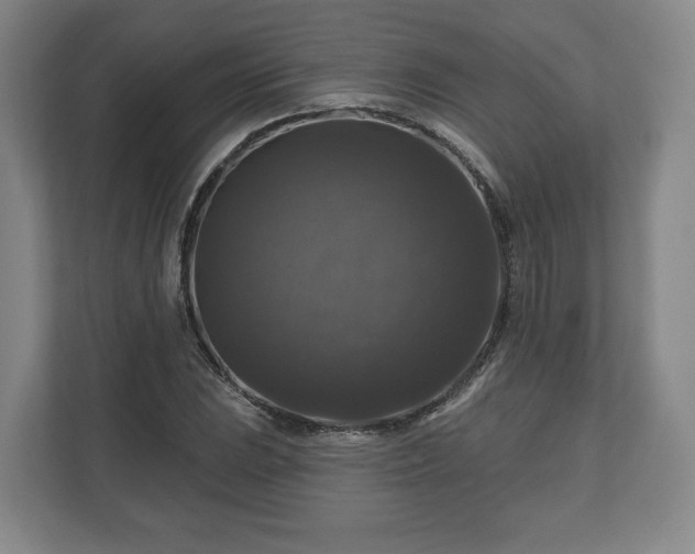 X0000111201023200907081237