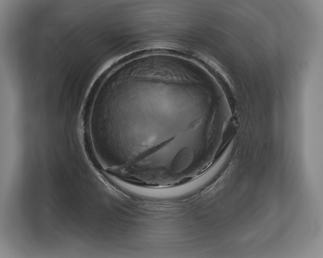 X0000111201024200907081237