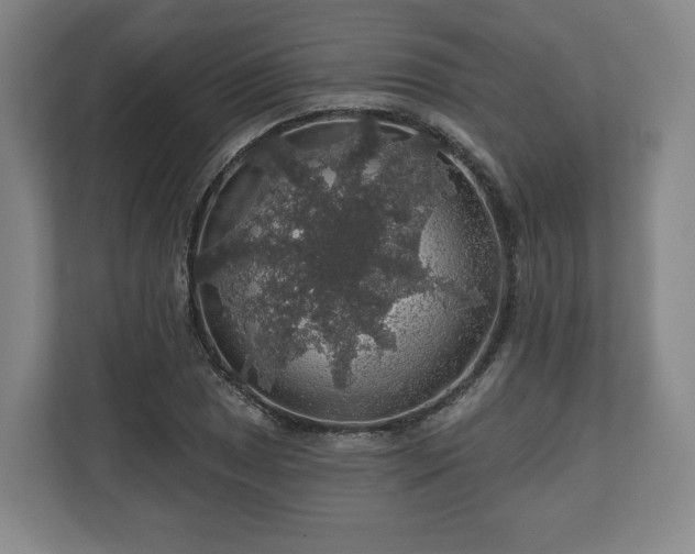 X0000111201025200907081237