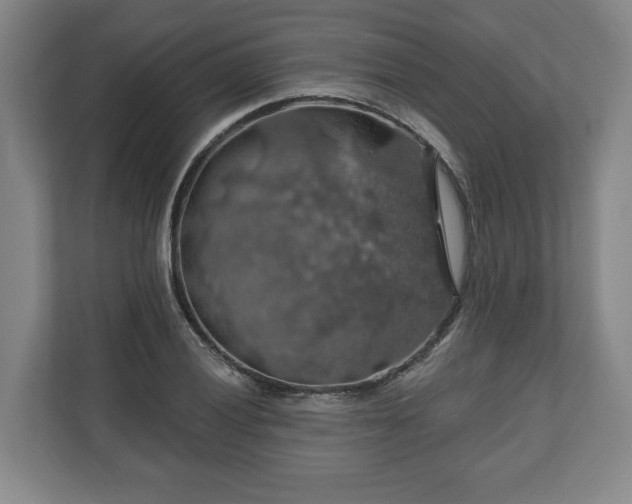 X0000111201028200907081237