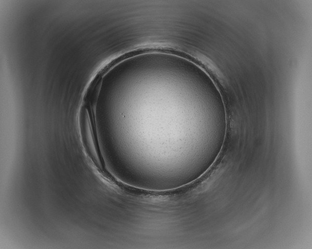 X0000111201030200907081237