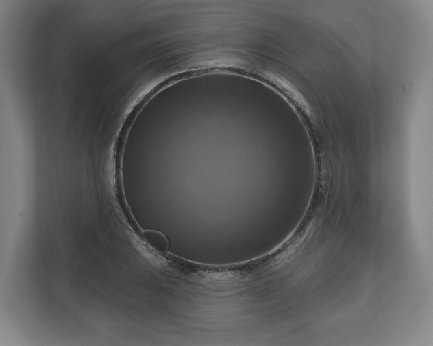 X0000111201031200907081237