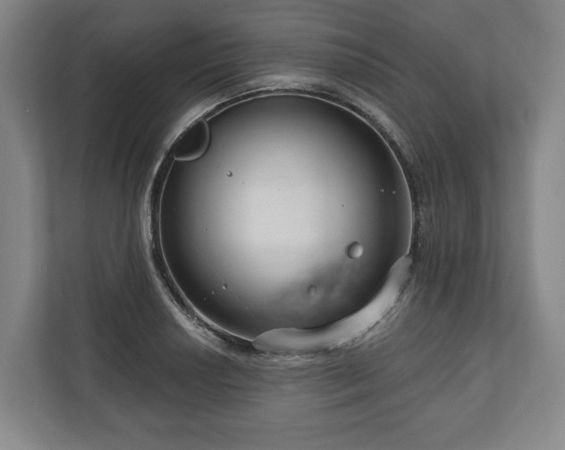 X0000111201034200907081237