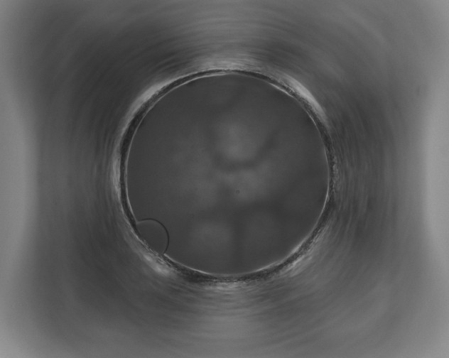 X0000111201035200907081237