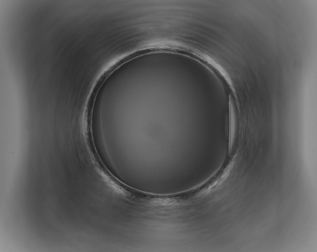 X0000111201037200907081238