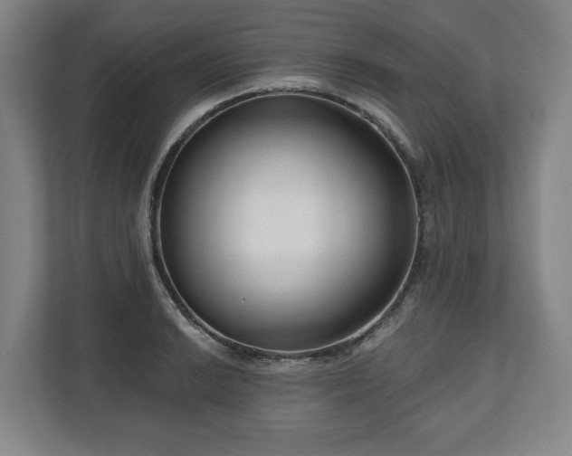 X0000111201038200907081238