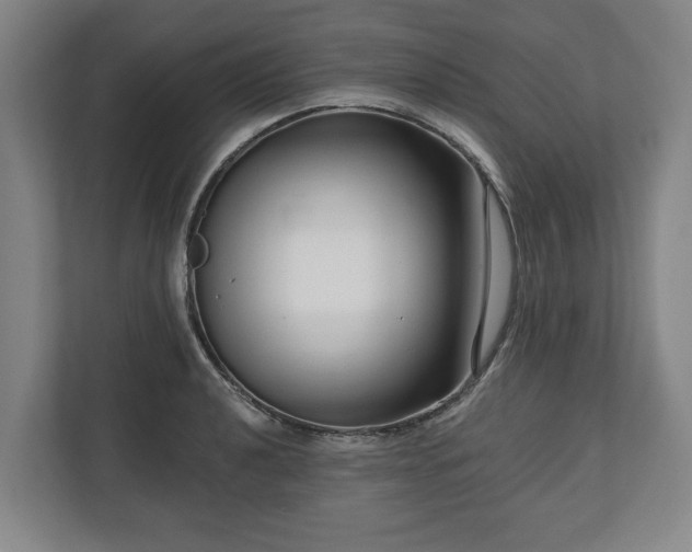 X0000111201040200907081238