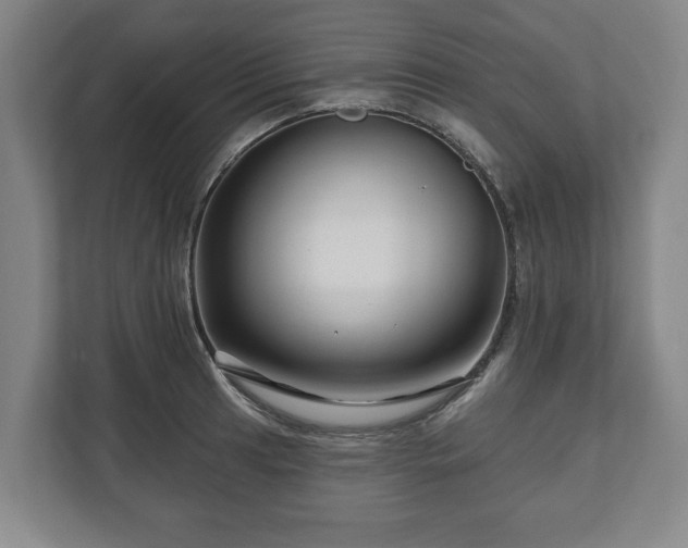 X0000111201041200907081238