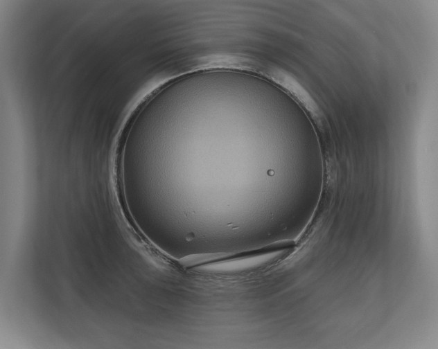 X0000111201043200907081238