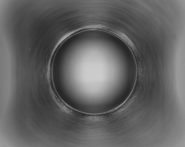 X0000111201044200907081238