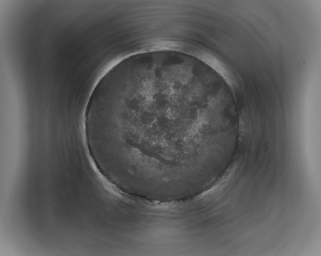 X0000111201047200907081238