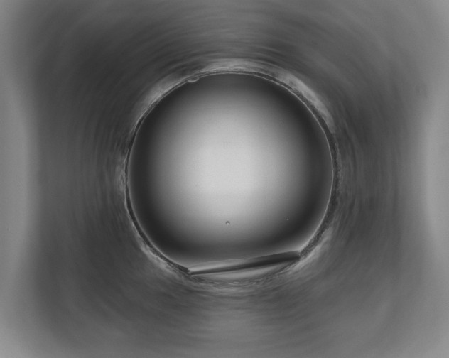 X0000111201049200907081238