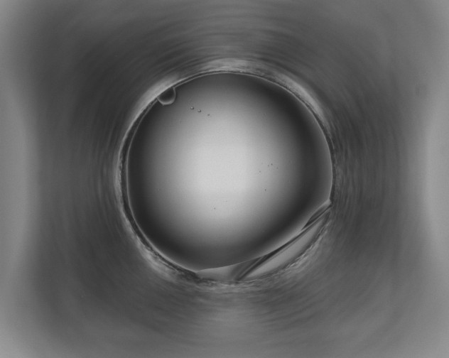 X0000111201050200907081238