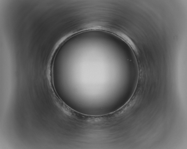 X0000111201051200907081238