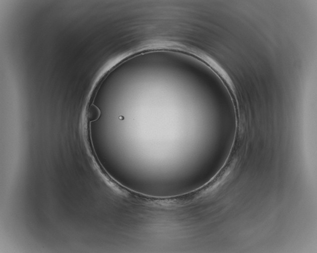 X0000111201053200907081238