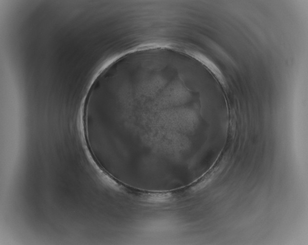 X0000111201055200907081238