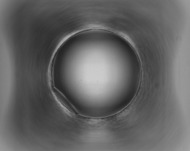 X0000111201056200907081238