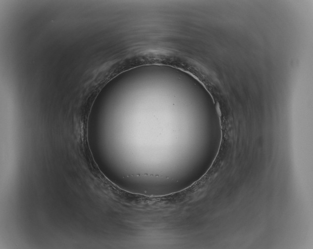 X0000111201061200907081237