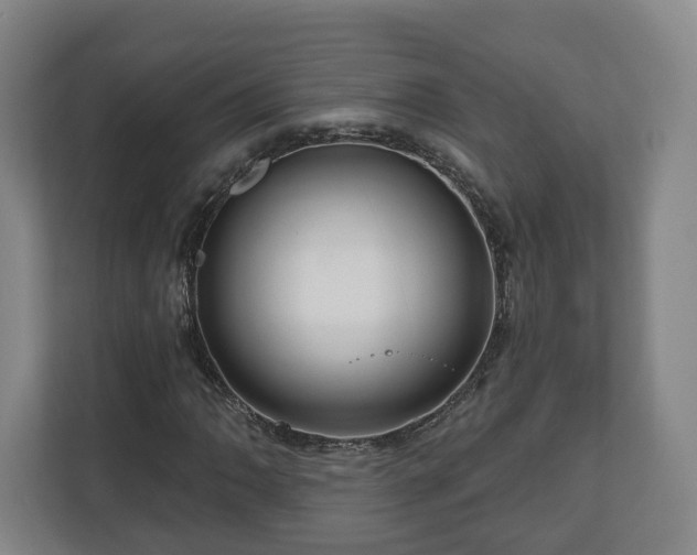 X0000111201062200907081237