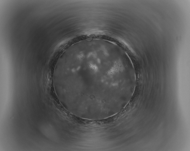 X0000111201063200907081237