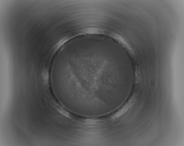 X0000111201065200907081237