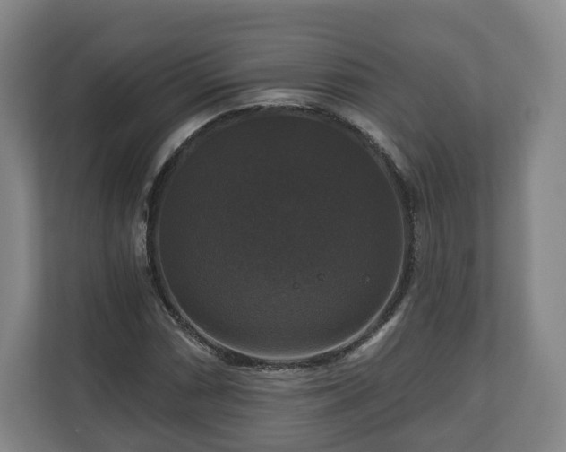 X0000111201066200907081237