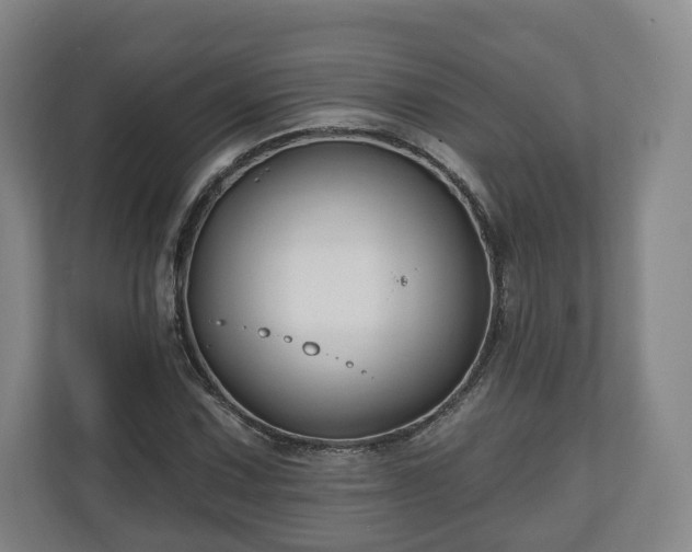 X0000111201067200907081237