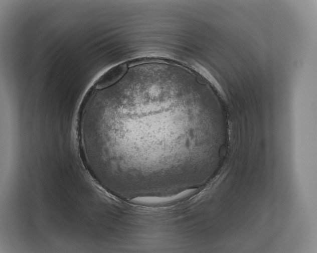 X0000111201068200907081237