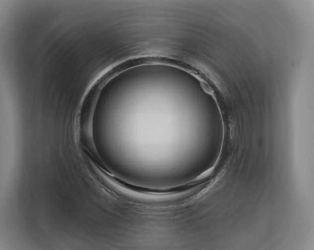 X0000111201069200907081237