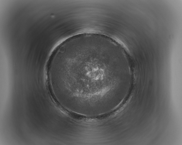 X0000111201070200907081237