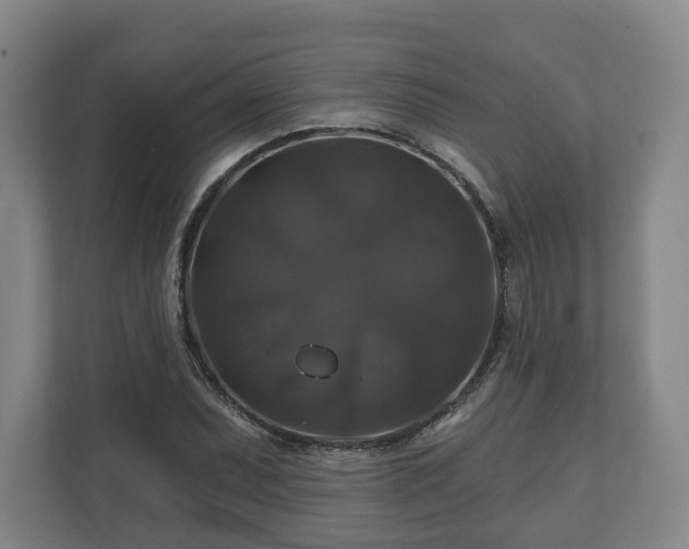 X0000111201071200907081237