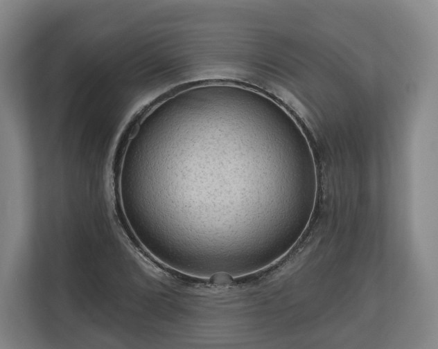 X0000111201072200907081237