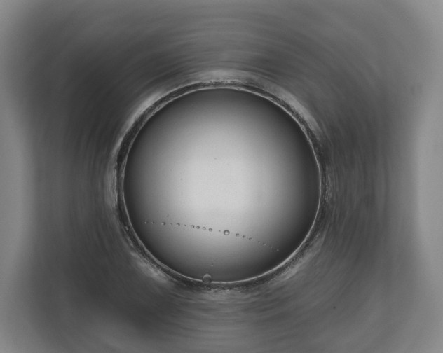 X0000111201075200907081237