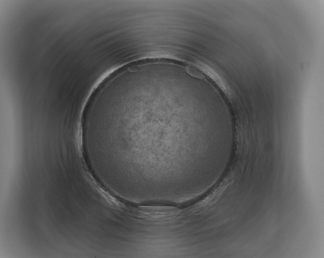 X0000111201076200907081237