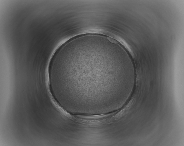 X0000111201080200907081237